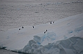 052_Antarctica_Peninsula_Gerlache_Strait