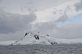 106_Antarctica_Peninsula_Gerlache_Strait