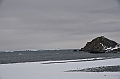 206_Antarctica_Peninsula_Robert_Island