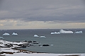 209_Antarctica_Peninsula_Robert_Island