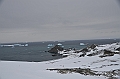 211_Antarctica_Peninsula_Robert_Island