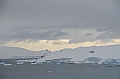 215_Antarctica_Peninsula_Robert_Island