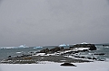 225_Antarctica_Peninsula_Robert_Island