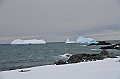226_Antarctica_Peninsula_Robert_Island
