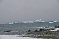 227_Antarctica_Peninsula_Robert_Island