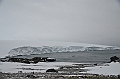 232_Antarctica_Peninsula_Robert_Island