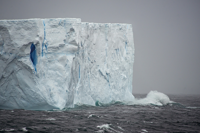 076_Best_of_Antarctica_Ponant.jpg