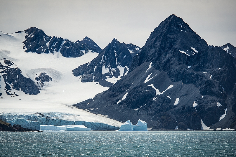 195_Best_of_Antarctica_Ponant.jpg