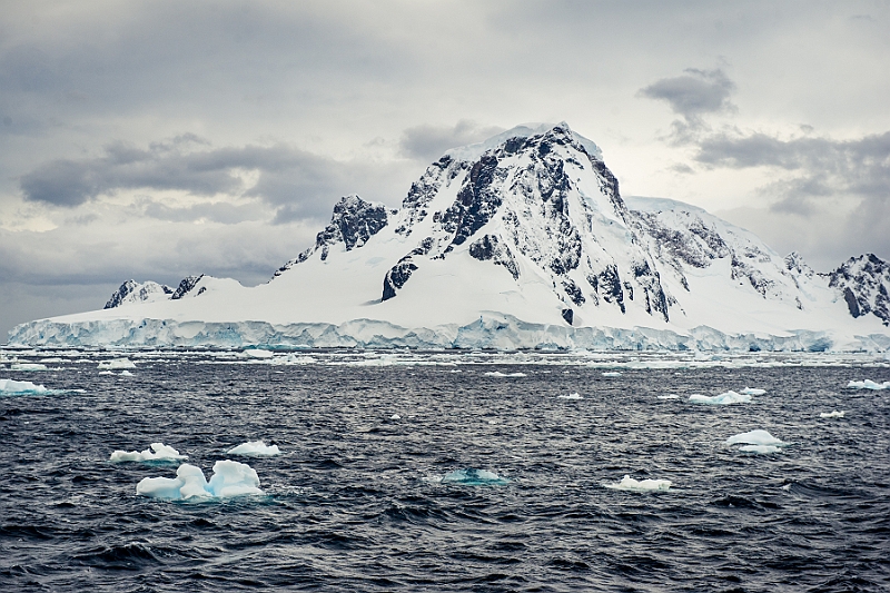 206_Best_of_Antarctica_Ponant.jpg