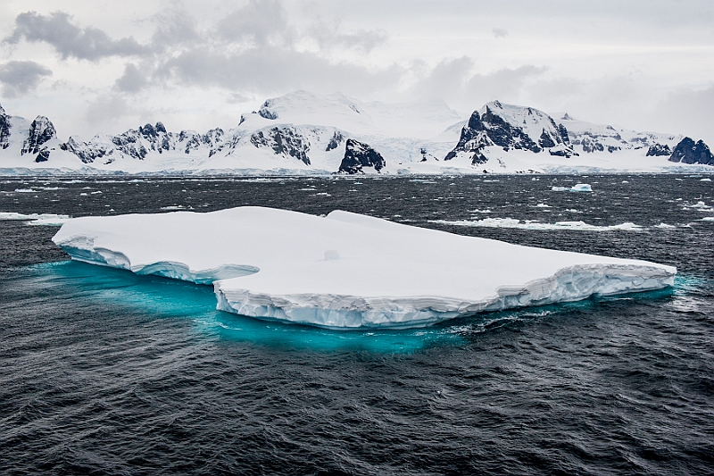 218_Best_of_Antarctica_Ponant.jpg
