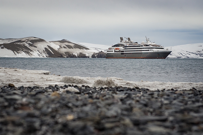 240_Best_of_Antarctica_Ponant.jpg