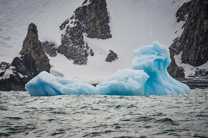 261_Best_of_Antarctica_Ponant.jpg