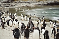 064_Best_of_Antarctica_Ponant