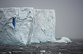 076_Best_of_Antarctica_Ponant