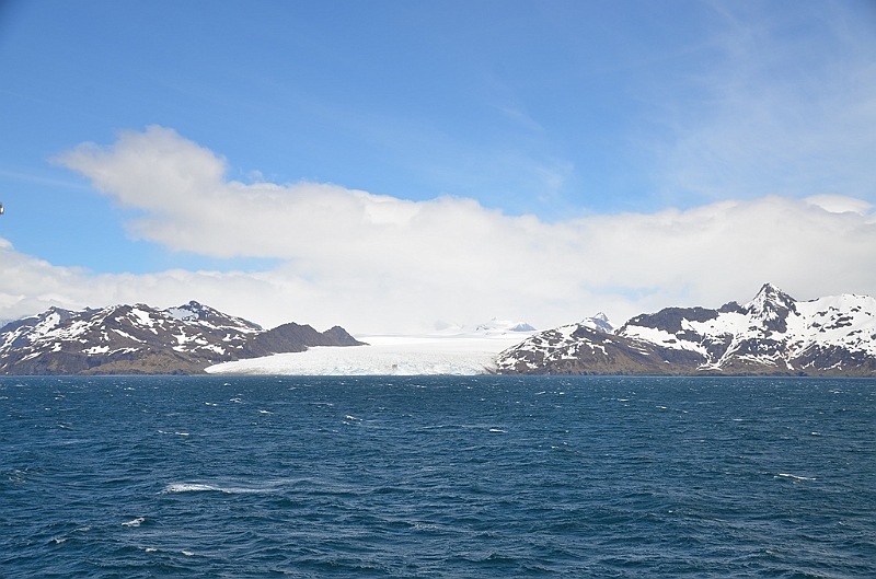 025_Antarctica_South_Georgia.JPG