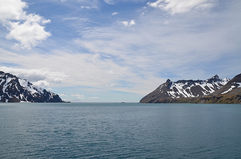 039_Antarctica_South_Georgia_Fortuna_Bay.JPG