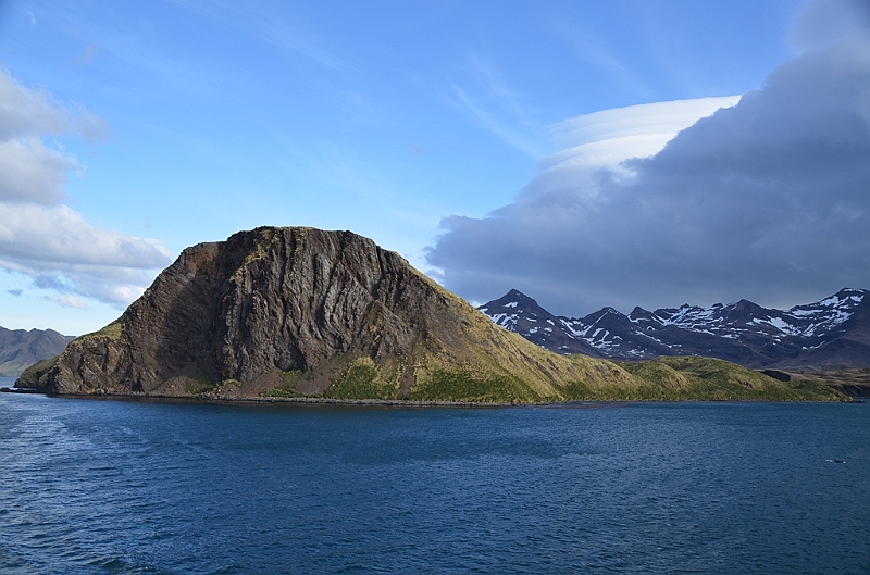119_Antarctica_South_Georgia.JPG
