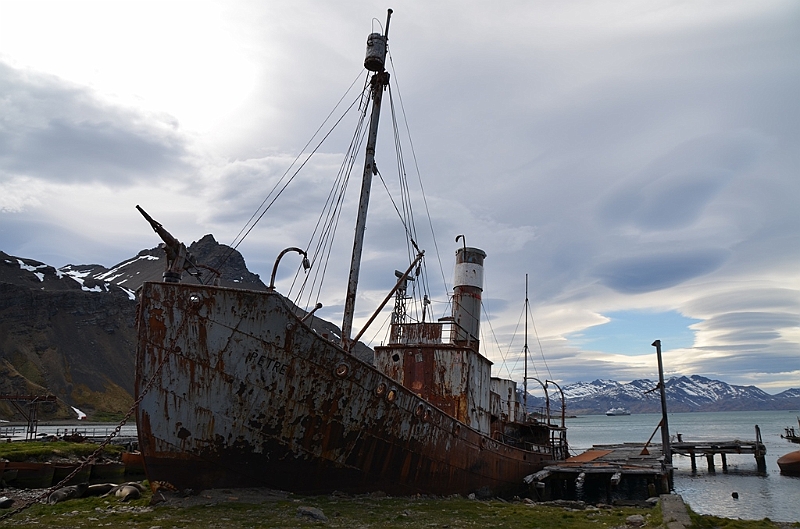135_Antarctica_South_Georgia_Grytviken.JPG