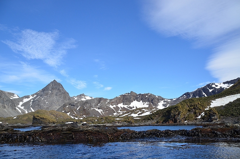 275_Antarctica_South_Georgia_Cooper_Bay.JPG
