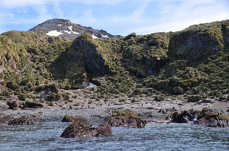 292_Antarctica_South_Georgia_Cooper_Bay.JPG