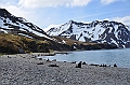 063_Antarctica_South_Georgia_Fortuna_Bay