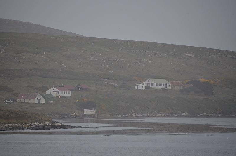 046_Falkland_Islands_New_Island.JPG