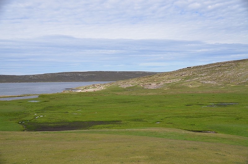 126_Falkland_Islands_Grave_Cove.JPG
