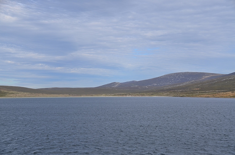 146_Falkland_Islands_Grave_Cove.JPG