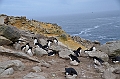 067_Falkland_Islands_New_Island
