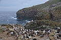 074_Falkland_Islands_New_Island