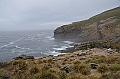 090_Falkland_Islands_New_Island