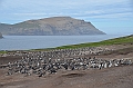094_Falkland_Islands_Grave_Cove