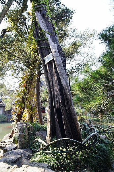 062_China_Suzhou_Net_Master_Garden.JPG