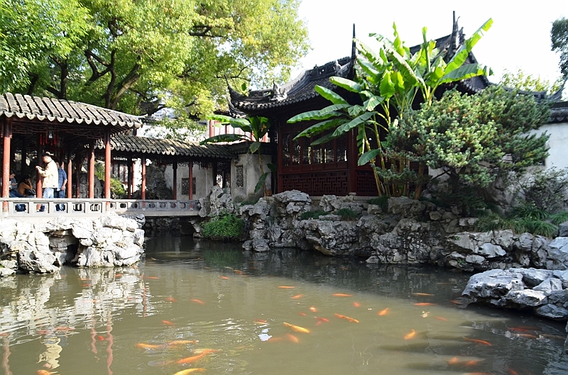 243_China_Shanghai_Yuyuan_Garden.JPG