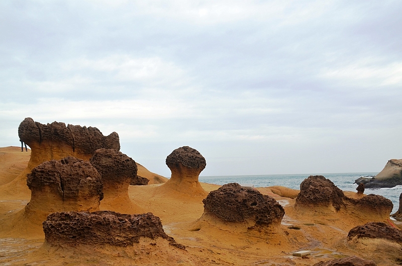 325_Taiwan_Yehliu_Geopark.JPG