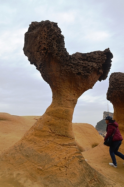 330_Taiwan_Yehliu_Geopark.JPG