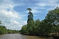 061_Vietnam_Mekong_River_Tour