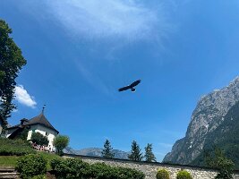 040_Austria_Werfen_Burg_Hohenwerfen
