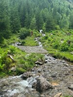 105_Austria_Ennstal_Steirischer_Bodensee