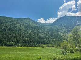109_Austria_Ennstal_Steirischer_Bodensee