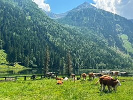 112_Austria_Ennstal_Steirischer_Bodensee
