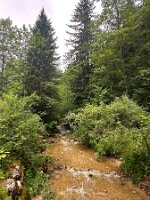 122_Austria_Ennstal_Woerschachklamm