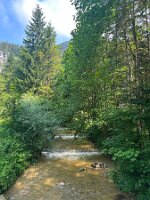 136_Austria_Ennstal