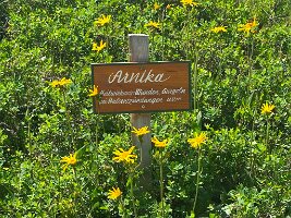143_Austria_Ennstal_Schladming