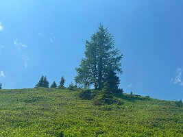 147_Austria_Ennstal_Schladming