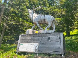 153_Austria_Ennstal_Schladming