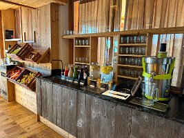 226_Austria_Ennstal_Natur_Wellnesshotel_Hoeflehner