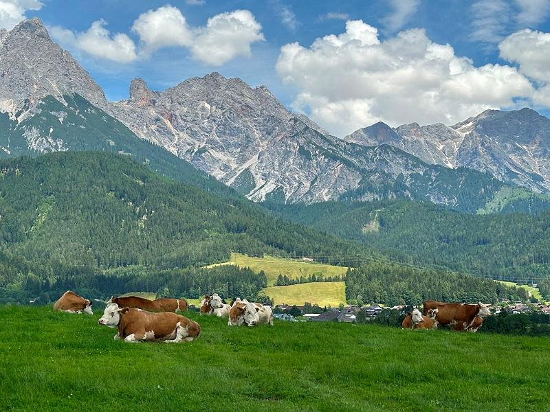 148_Austria_Saalfelden.JPG