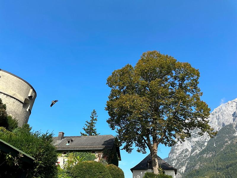 023_Austria_Salzburger_Land_Burg_Hohenwerfen.JPG