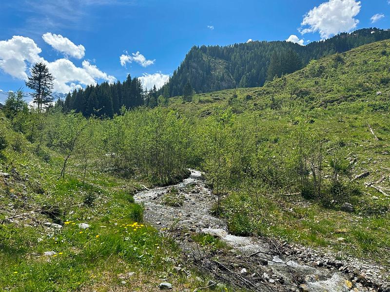 109_Austria_Zillertal.JPG